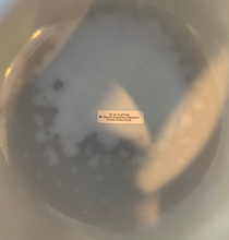 Load image into Gallery viewer, 10&quot; B+15 Mt. Shasta Serpentine,Palladium Bowl
